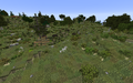 Thumbnail for version as of 23:13, 21 January 2021