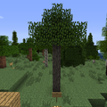 Thumbnail for version as of 03:49, 31 July 2013