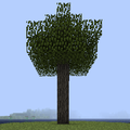 Thumbnail for version as of 05:52, 9 May 2014