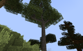 Thumbnail for version as of 01:13, 5 February 2020