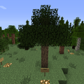 Thumbnail for version as of 03:51, 31 July 2013