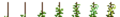 Thumbnail for version as of 17:45, 4 October 2021