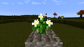 Thumbnail for version as of 20:17, 6 September 2012