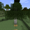 Thumbnail for version as of 03:48, 31 July 2013