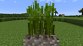 Thumbnail for version as of 20:09, 6 September 2012