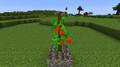 Thumbnail for version as of 20:18, 6 September 2012