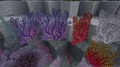 Thumbnail for version as of 05:56, 16 July 2020