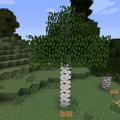 Thumbnail for version as of 03:48, 31 July 2013