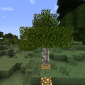 Thumbnail for version as of 03:52, 31 July 2013