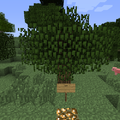 Thumbnail for version as of 03:49, 31 July 2013