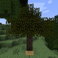 Thumbnail for version as of 03:50, 31 July 2013