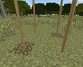 Thumbnail for version as of 14:39, 6 December 2019