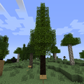 Thumbnail for version as of 03:48, 31 July 2013