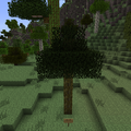 Thumbnail for version as of 03:48, 31 July 2013