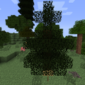 Thumbnail for version as of 03:49, 31 July 2013