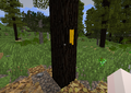 Thumbnail for version as of 20:57, 2 August 2021