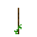 Tomato (4).png