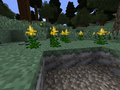 Thumbnail for version as of 21:40, 28 May 2013