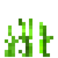 Oat (5).png