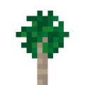 Sapling (Limba).png