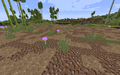 Thumbnail for version as of 19:55, 17 December 2021