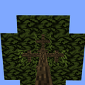 Thumbnail for version as of 07:31, 4 May 2014