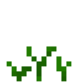 Carrots (3).png