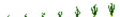 Onions (Phases).png