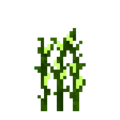 Corn (5).png