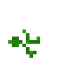 Squash (2).png