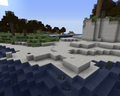Biome Beach.png