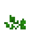 Squash (5).png