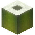 Large Log (Bamboo).png