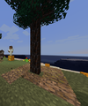 Thumbnail for version as of 13:43, 27 June 2020