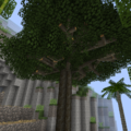 Thumbnail for version as of 01:38, 5 February 2020