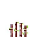 Thumbnail for version as of 19:54, 18 September 2020