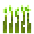 Barley (6).png