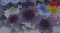 Thumbnail for version as of 05:56, 16 July 2020