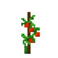 Tomato (8).png