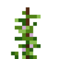 Black-Eyed Peas (5).png