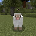 Thumbnail for version as of 23:56, 28 November 2014