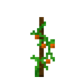 Tomato (7).png