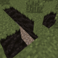 Thumbnail for version as of 02:53, 19 July 2014