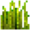 Rye (7).png